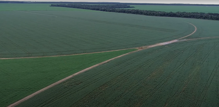 O agronegócio brasileiro como modelo de sustentabilidade global